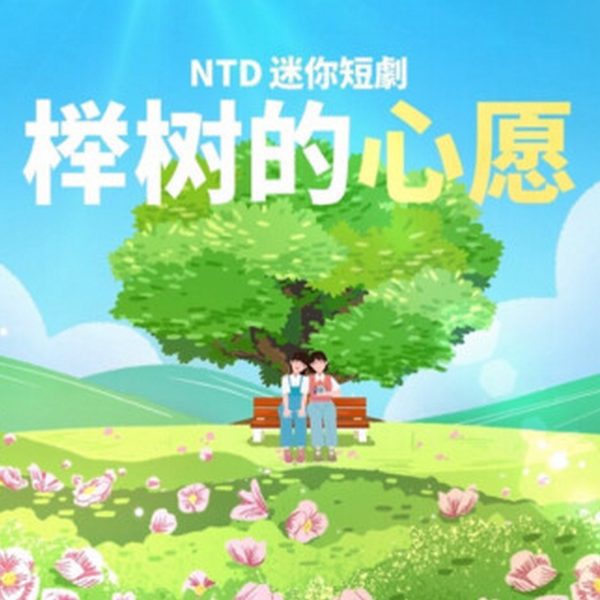 Zelkova's Dream (2023)